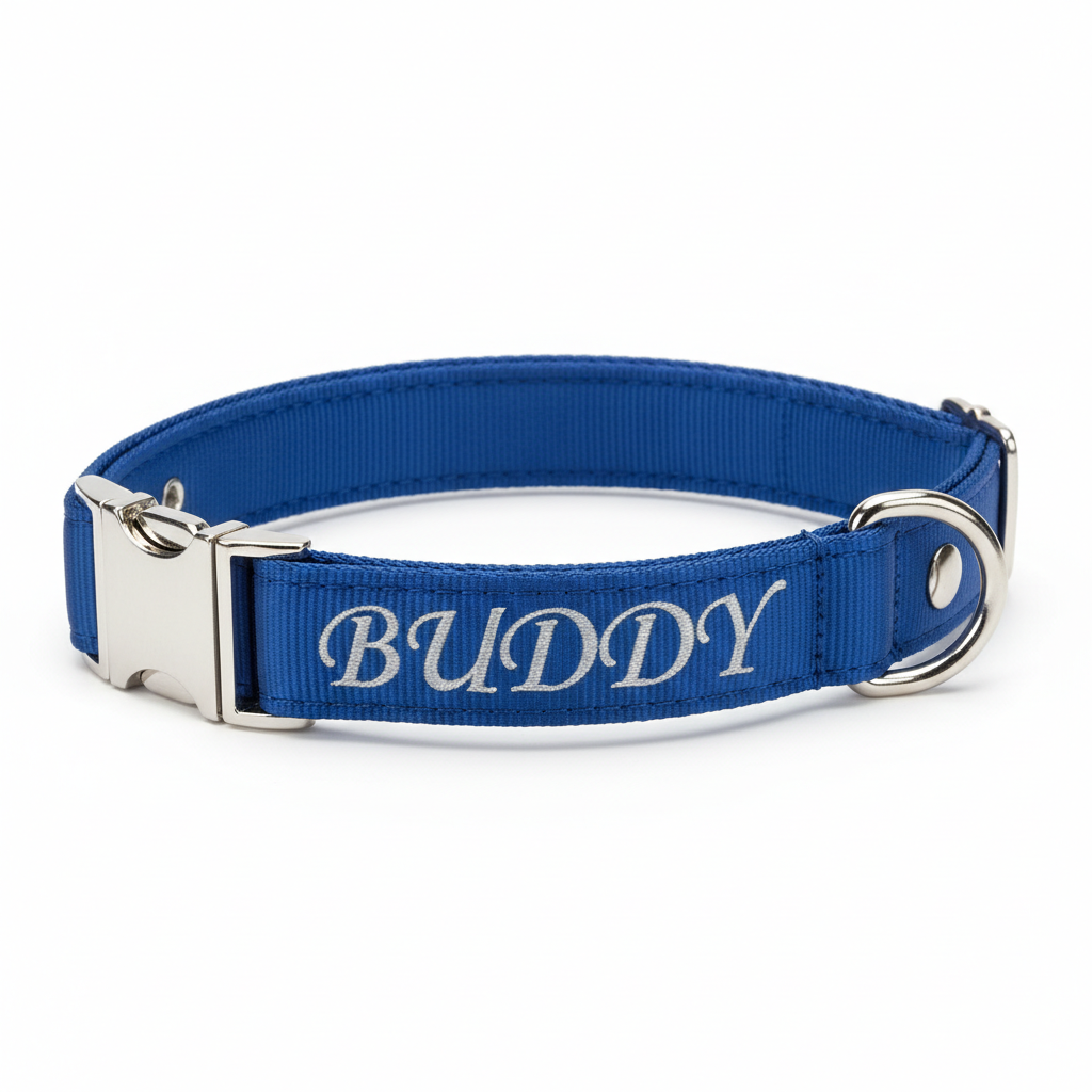 Blue personalized dog collar with custom name engraving